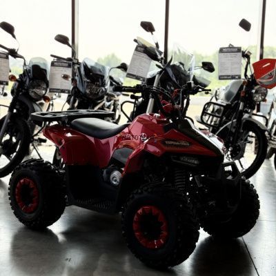 Квадроцикл детский YACOTA (Якота) RAPOSA 110 красный (машинокомплект)