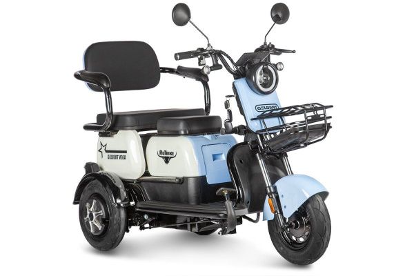 Пассажирский электротрицикл Rutrike (Рутрайк) Gelbert Vega 48V/60V 600Вт Фиолетовый | Мототека