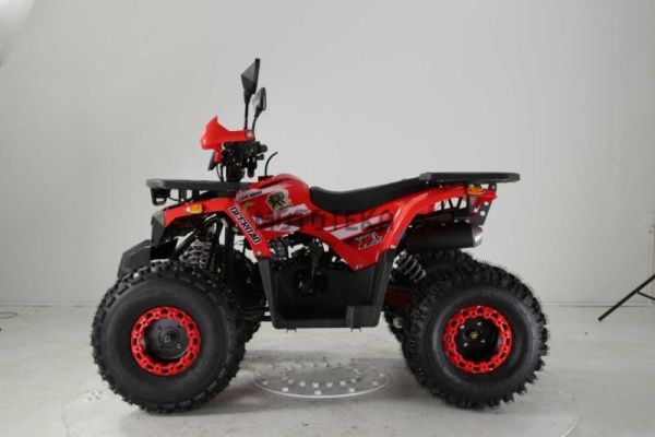 Квадроцикл детский R - MOTO (Р - Мото) Lion 125 AA жёлтый (машинокомплект) | Мототека