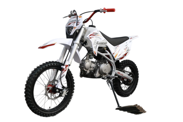 Питбайк FXMOTO (ФХМото) Y1 оранжевый | Мототека