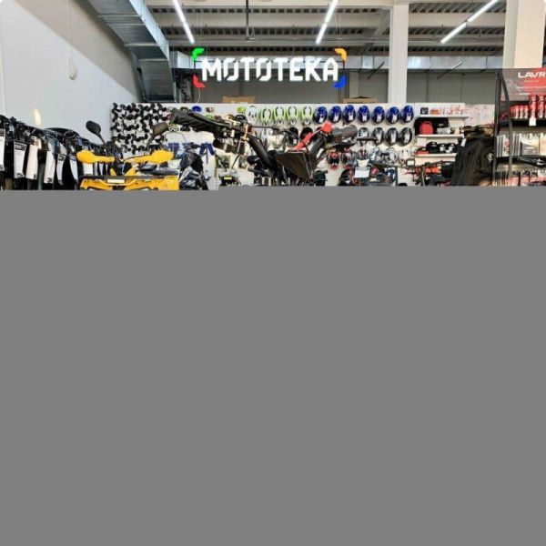 Квадро снегоход детский (снегоцикл) Motax (Мотакс) Gekkon Snow чёрный/синий (машинокомплект) | Мототека